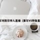 里尔对凯尔特人直播（里尔VS特鲁直播）
